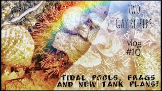 Tidal Pools, Frags and New Tank Plans!
