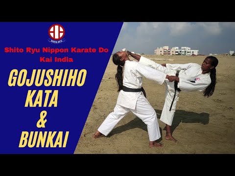 Gojushiho Shito Ryu Kata & Bunkai