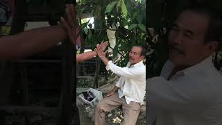 Download lagu Tips pencak silat cimande mp3