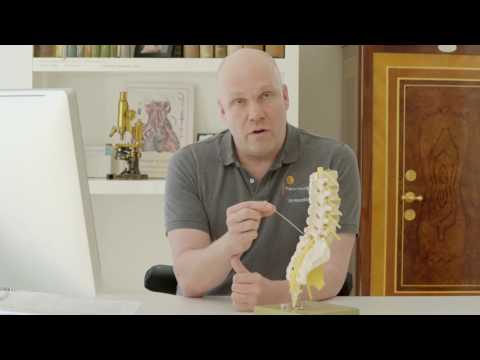 Minimalinvasive Wirbelsäulentherapie