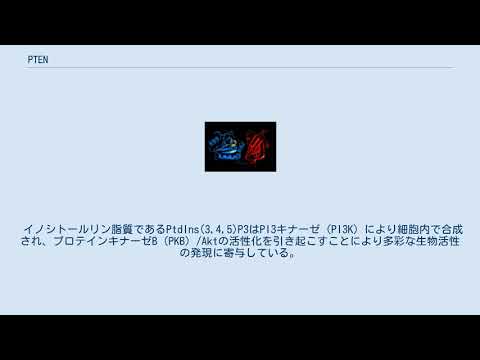 メリディアーニプラナムについて詳しく解説