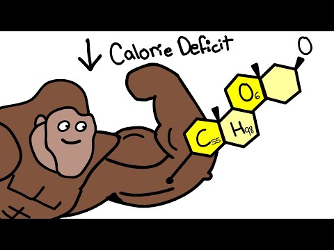 How To Actually Lose Weight Explained By Ape
