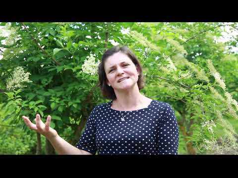 TAGWERK Einblicke - Beerenanbau auf dem Biohof Kreitmair