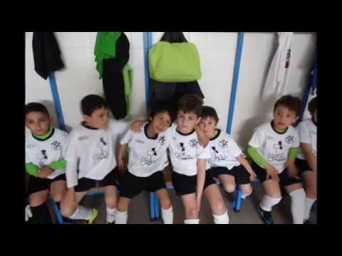 Petizes / Traquinas - Época 2013.2014