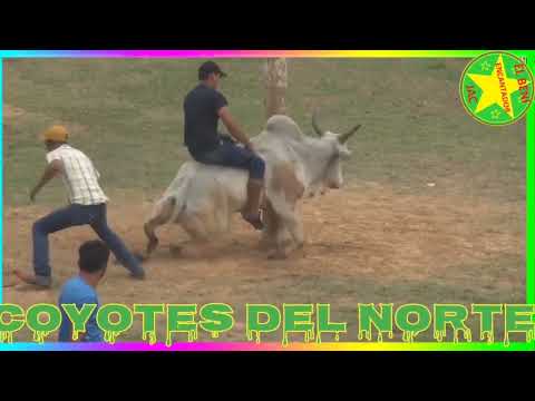 LA VUELTA DEL BENI MIX  [LOS COYOTE DEL NORTE] #BENI#BOLIVIA#