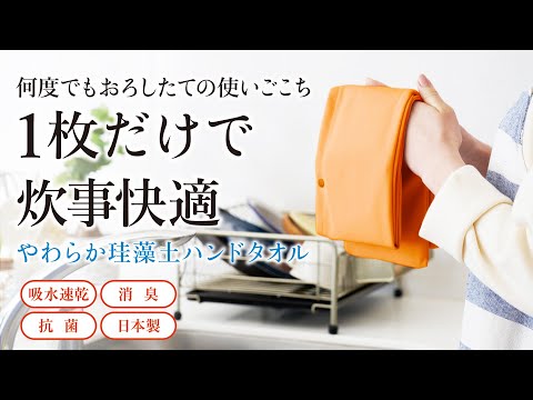 やわらか珪藻土ハンドタオル LLサイズ DHTLLBLUE ブルー Techno