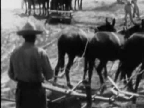 El Barzón video