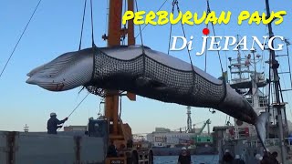 Download lagu JEPANG DAN TRADISI BERBURU PAUS mp3