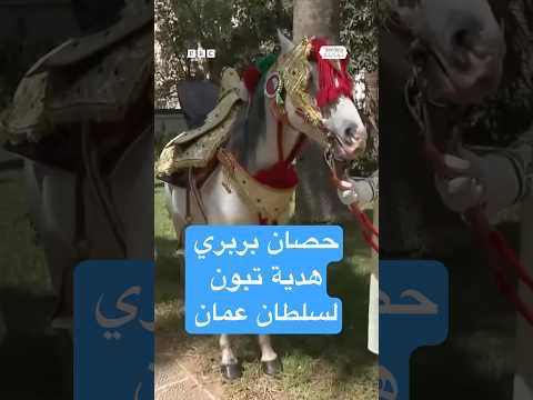 فيديو | تبون يهدي السلطان هيثم حصانا بربريا