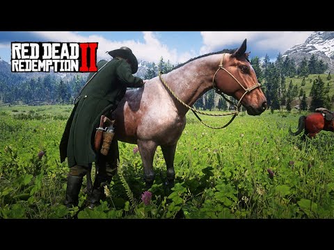 Domando Cavalos Selvagens e achei um GORILA - O DOMADOR DE CAVALOS - Red Dead Redemption 2