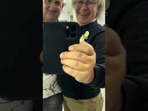 Milos Stojkovic Gold Orchestra Kolo na svadbi (live)