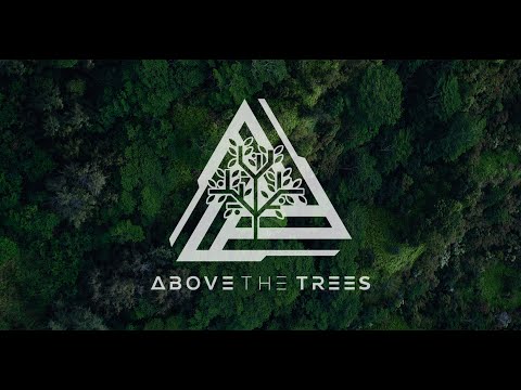 AboveTheTrees live Episode 4 - 6.24.22 - Bozak + Pure  Vinyl Special (READ)