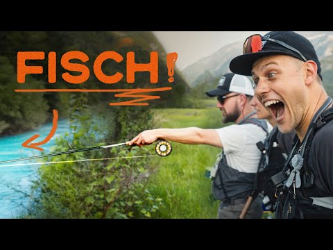This fish changed everything... | Sarca Diaries – Episode 1