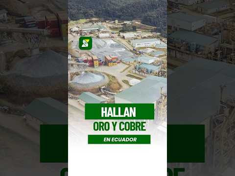 Minera canadiense descubre dos nuevos yacimientos de oro y cobre en Zamora Chinchipe