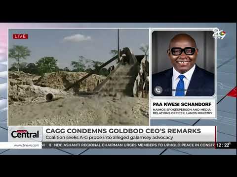 Galamsey Fight: NAIMOS Won’t Stop Arrests - Schandorf Clarifies