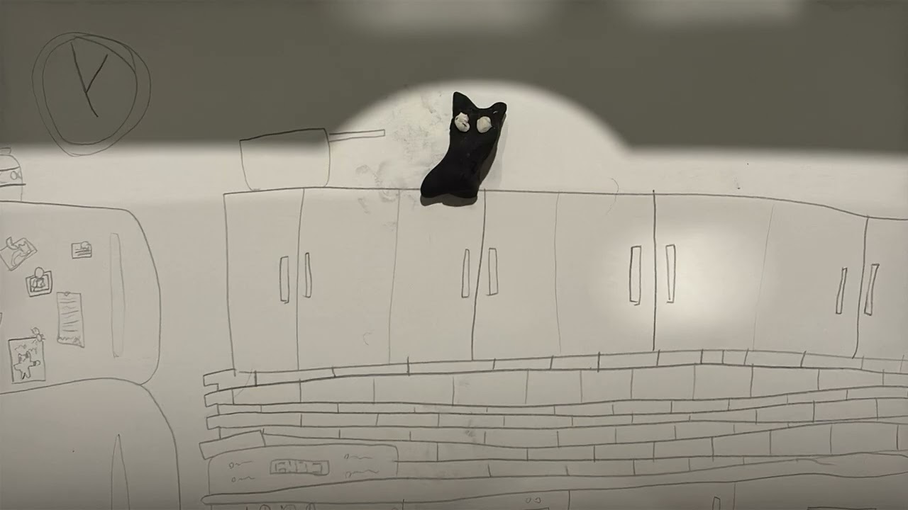 Water waste with Shadow the cat by Keira U. (Wilberforce Public School Grade 6)