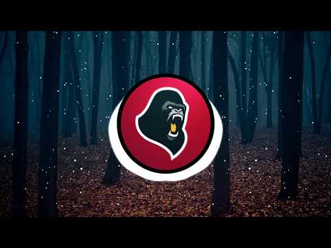 SLANDER & BASSTRICK - Drop It (Milano the Don x VVL Remix)