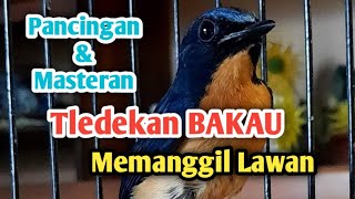 Download lagu PANCINGAN & MASTERAN TLEDEKAN BAKAU GACOR MEMANGGIL LAWAN mp3 Download lagu PANCINGAN & MASTERAN TLEDEKAN BAKAU GACOR MEMANGGIL LAWAN mp3
