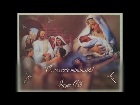 O, ce veste minunată - Înger Alb