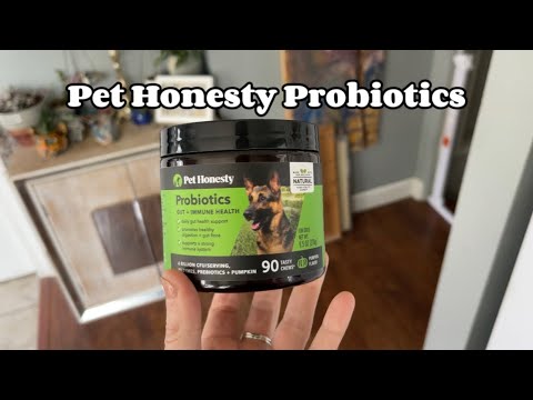 Elevate Your Daily Wellness with Truvy Pre+ Probiotic Chews