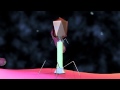 Bacteriophage T4 Virus 3D Animation