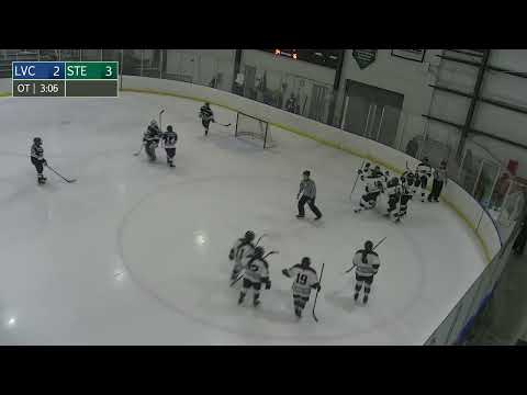 Stevenson Women's Hockey vs. LVC | Trinity Barcless Overtime Game-Winner (1/29/22)