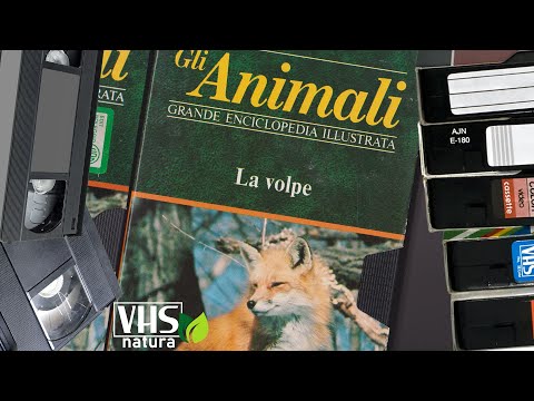 LA VOLPE