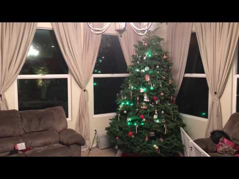 Seth's First Light Show