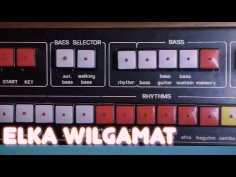 Elka Wilgamat - 1976 - Auto Accompaniment Unit image 12