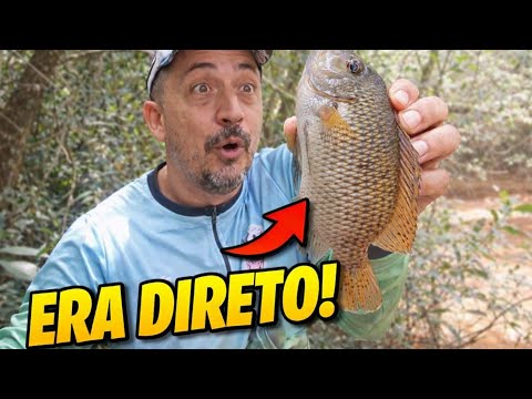 PORQUETIZ DOMINARAM O RIO SUNUNUM! 😱🎣 Pescaria Raiz em Juranda PR (Teve Bagre no Final!)
