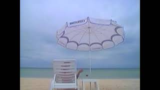 【第1074回】田島都