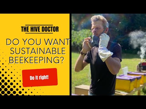 Sustainable Beekeeping is Crucial to Future Beekeeping 