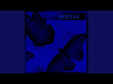 Motyle
