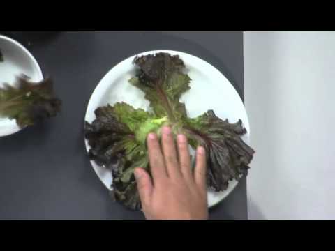 Receita Bom Sabor - 01/02/2016 -  Frango à Indiana (lanche na boquinha de anjo) - Paulo Mazzucco