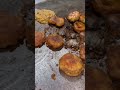 Jagdish Ki Famous Chaat Shorts Youtubeshorts Ashortaday Food Foodie Chaat