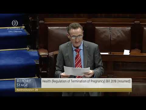 Deputy Peter Fitzpatrick - Government Business - 29.11.2018