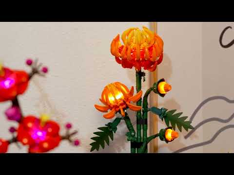 Lightailing Light Kit For Lego Botanical Collection