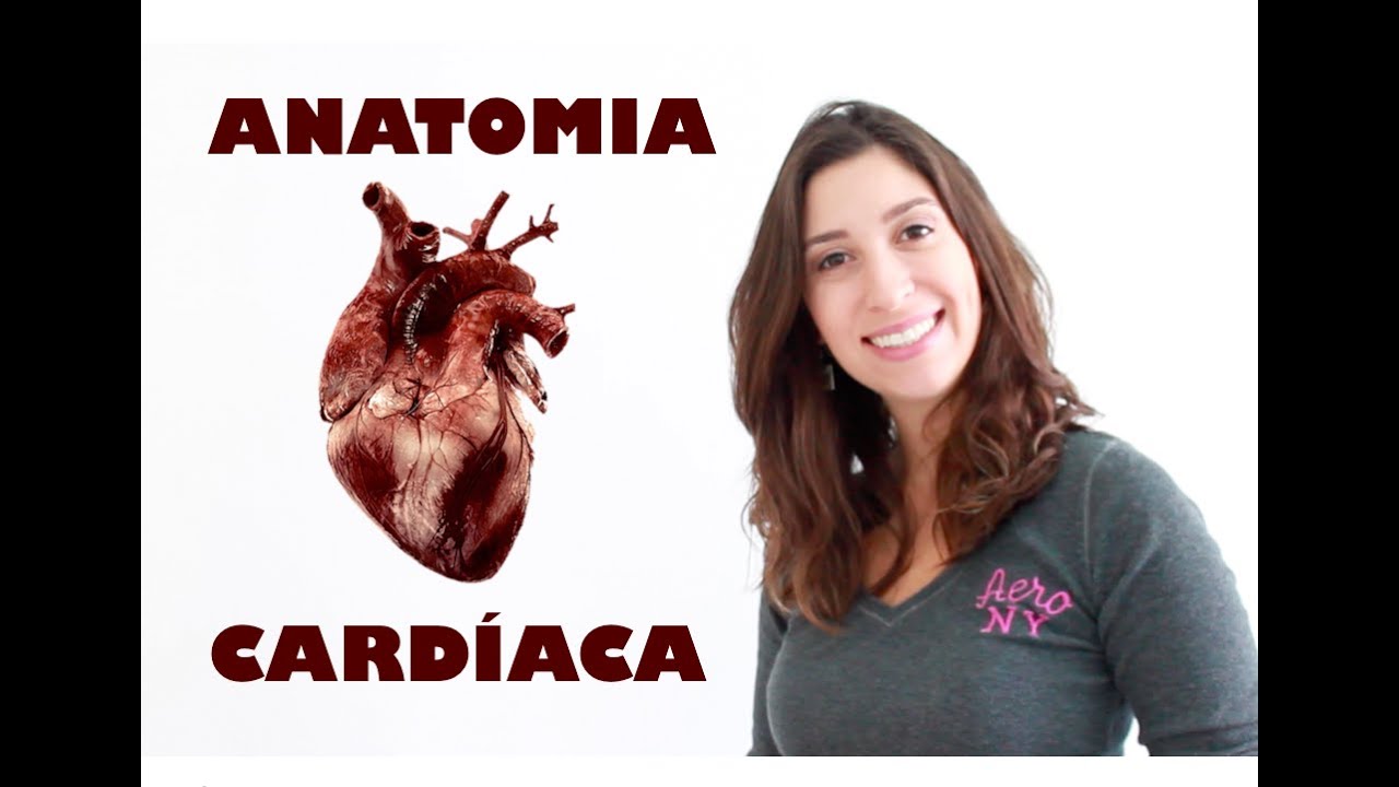 Anatomia Cardíaca Básica | Anatomia e etc.