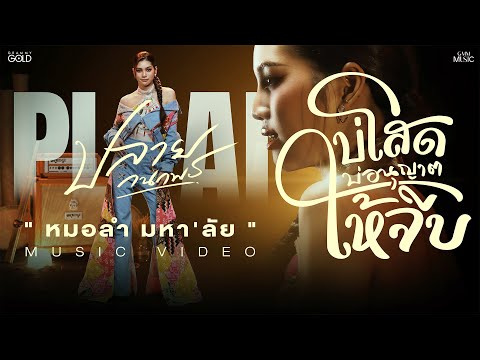 บ่โสดบ่อนุญาตให้จีบ - ปลาย กนกพร【OFFICIAL MV】