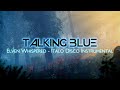 Talking Blue Elven Whispered ITALO DISCO INSTRUMENTAL MODERN TALKING STYLE
