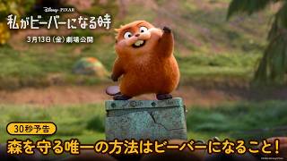 30秒予告｜森を守る唯一の方法はビーバーになること！