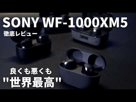 メガネ🦊M天パ
