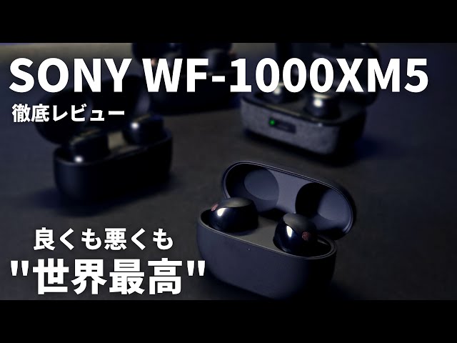 メガネ🦊M天パ