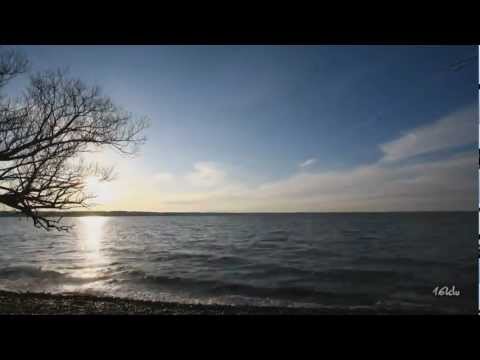 Sonic Division & Spychool - Panta Rhei (Original Mix) [Music Video] [Coldharbour]