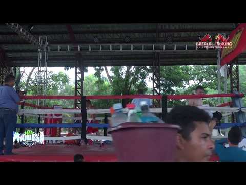 Francisco Vargas VS Nelson Luna - Bufalo Boxing Promotions