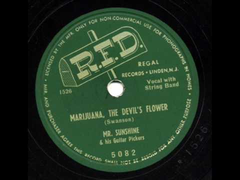 Marijuana, The Devil's Flower by Mr Sunshine