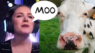 Old McDonald Had A Farm ROCKIFIED! - We are a serious band.. really