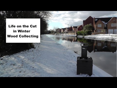 Narrowboat Life on The Cut in Winter Wood Collecting #73