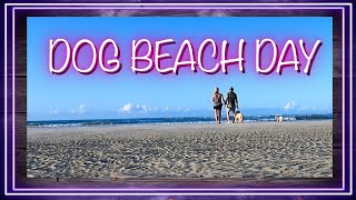 Dog Beach Day at Burkes Beach Hilton Head South Carolina