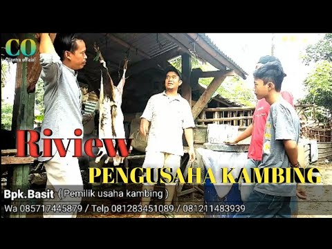 jual-beli-kambing-qurban-aqikah-derah-kecpagedangan-riview